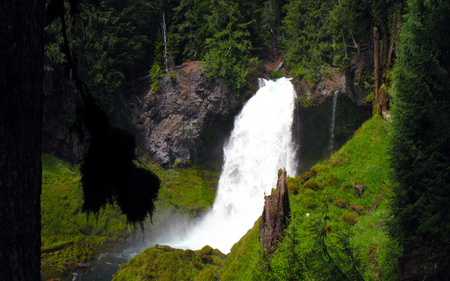 Cascading Beauty - nature, forest, beautiful, green, waterfall