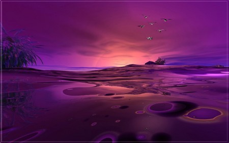 MAUVE SUNSET - birds, sunset, beach, mauve