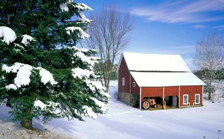 Little Red Barn - cold, pines, winter, barn