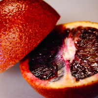 Sicilian Red Orange