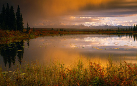 Autum Field - water, autum, lake, field