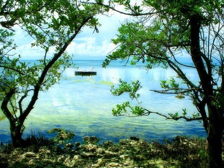 Landscape Florida-Keys - water, lake, tree, natur