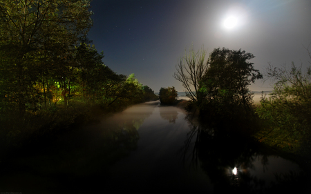 Jungle night - moon, jungle, river, night