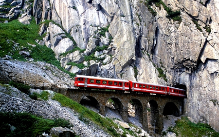 SWISS MOUNTAIN RAILWAY - swiss, rock, mountain, mountains rail, webshots desktop, rocky, railway, plants, chuanshanyueling train, geographical, human geography photographic, wallpaper