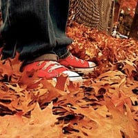 autumn shoes