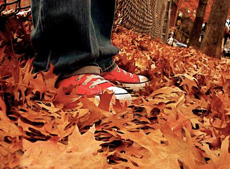 autumn shoes - colour, red, shoe, autumn