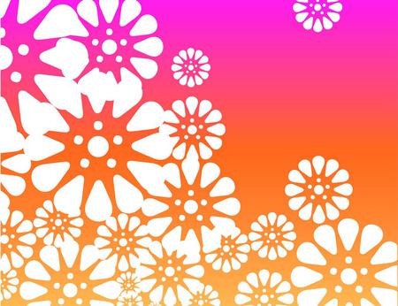 Silhouette flowers - silhouette, white flowers, orange, pink