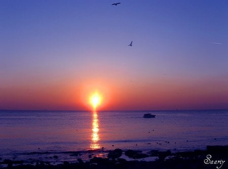 Sunrise on the water - sky, ocean, shoreline, sunrise, coast