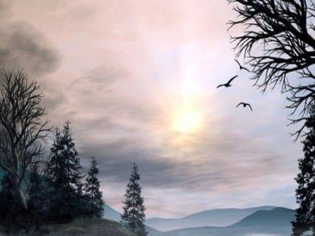 November Sky - trees, cloudy sky, sun, mountains, birds