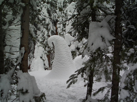 Snowy Swirl - forest, swirl, trees, winter, deep snow