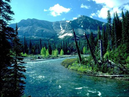 Down the river - mountains, forest, trees, river