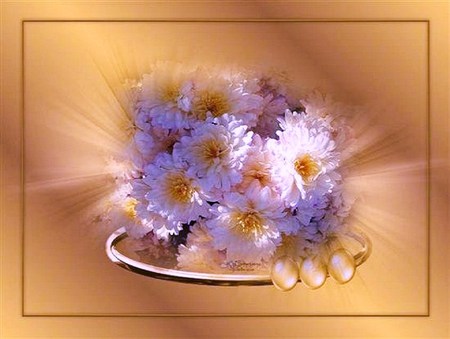 A spot of sun - still life - sunlight, flowers, yellow and white, arrangement