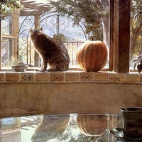 Cat and The Pumpkin