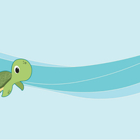 Cool Turtle