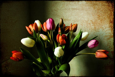 Boquet - flowers, boquet, love, tulips