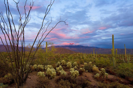 Peaceful desert - nature, sky, deserts, landscape