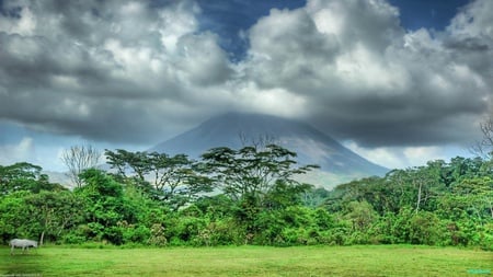 wonderland - clouds, trees, hd nature, nature wallpaper