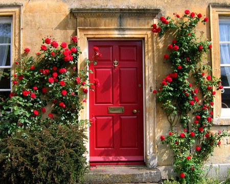 Red door - flowers, house, roses, door, red