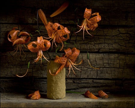 still life - vase, wood, beautiful, photography, flower bouquet, still life, orange, harmony, flowers, nature