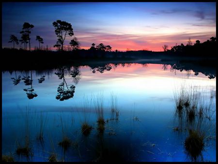 Sunset Blue - trees, blue, landscape, orange, sunsets, sunset, nature, landscapes, lake, waterscape