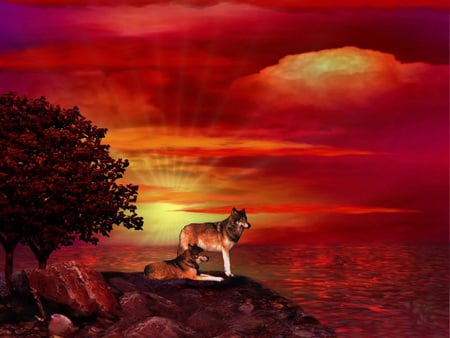 Red Dawn - abstract, yellow, wolf, landscape, sunrise, orange, tree, wolves, cg, dawn, nature, red, lobo, mates, 3d, waterscape