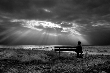 Peaceful - bench, dog, beach, child