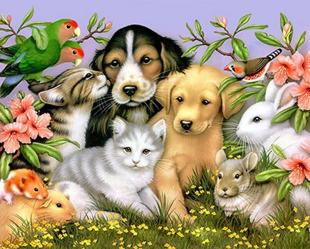 Animals at Peace - cats, birds, rabbits, dogs