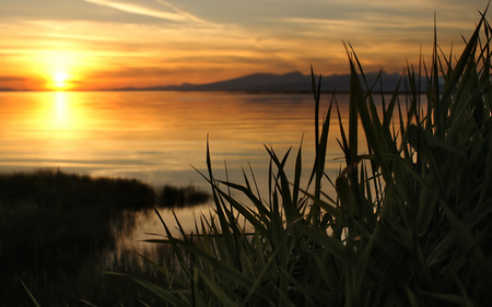 Sunset for Next Day - water, evening, sunset, sea, nature, hd, sun, grass