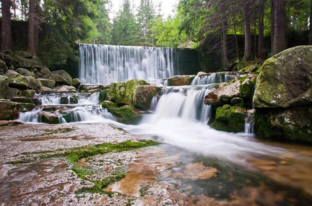 Falls - nature, falls, forest, landscape