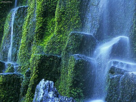 Proxy Falls - waterfalls, moss, foliage, rocks, cascading