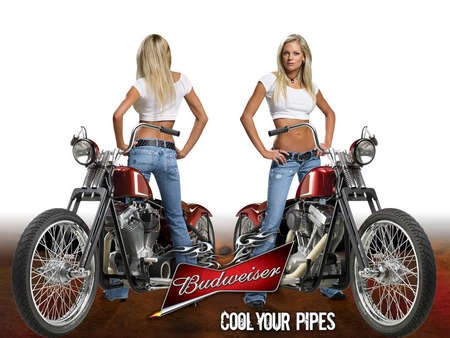 Bud Babe - babe, hot, bud, bike