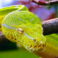 Fractal Snake