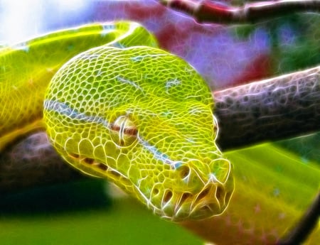 Fractal Snake - abstract, art, snake, fractal