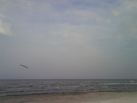 navodari beach - sunset, beach, navodari, romania, sea, seagulls