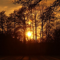 Sunset at lake