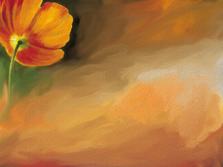 Brushed - clouds, puffy, orange, stunning, flower