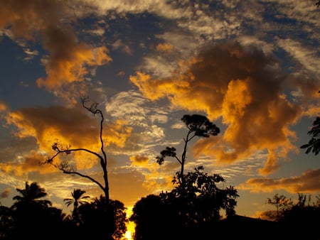 Gloriuos sky - sky, nature, amazing, clouds