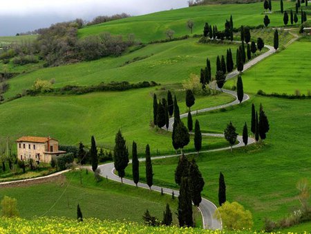 Green landscape - house, landscape, grass, road