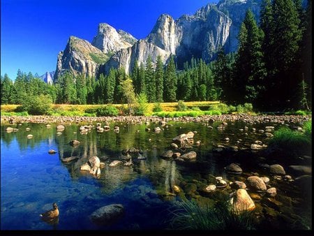 Amazing lake - lake, tree, rocks, landscape