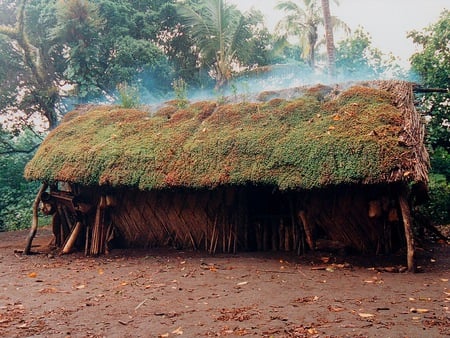 Yaohnanen Smoking Hut - trees, native, people, ethnic, tribe, south pacific, dirt, smoke, hut, custom, culture