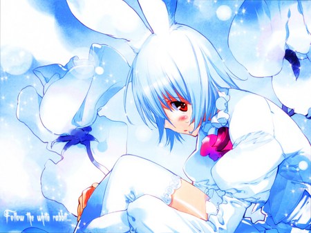 Follow the White Rabbit - white, anime, rabbit, girl