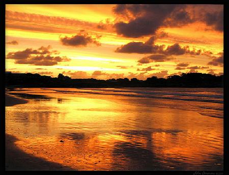 Sunset gold - reflections, clouds, sunset, water, golden sky