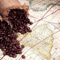 Brazil Coffee Beans