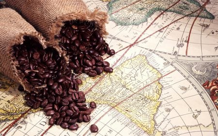 Brazil Coffee Beans