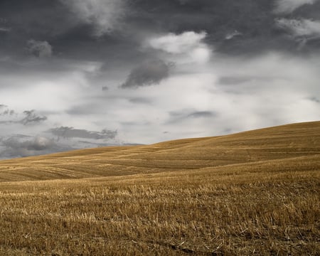 Storm is coming - field, gloomy, simple, storm