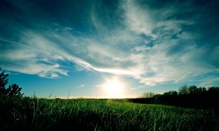 Grassy sunset - green, sky, grass, sun