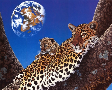 Planet moon - moon, leopards, tree, planet