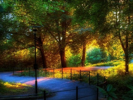 Last Sunlight in the Park - trees, light, park, sun