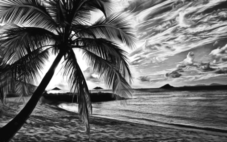 August Memories - clouds, august, beach, beautiful, vacations, tree, palm, islands, black, white, sunset, dusk, see, art, sun