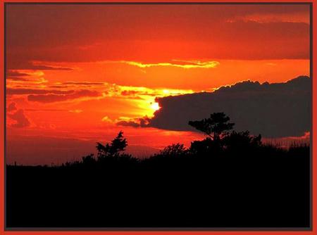 Sailors delight red sky at night - trees, sunset, water, shoreline, red sky